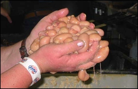 Handful of Balls